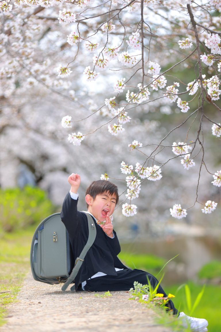 桜撮影 夙川公園 夙川河川敷緑地 西宮市 入学記念写真撮影 小学校入学 ランドセル 1年生 小学生 家族写真 サクラ 桜ポートレート 桜撮影
